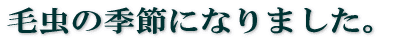ђ̋G߂ɂȂ܂B 