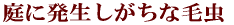 ɔȖђ 